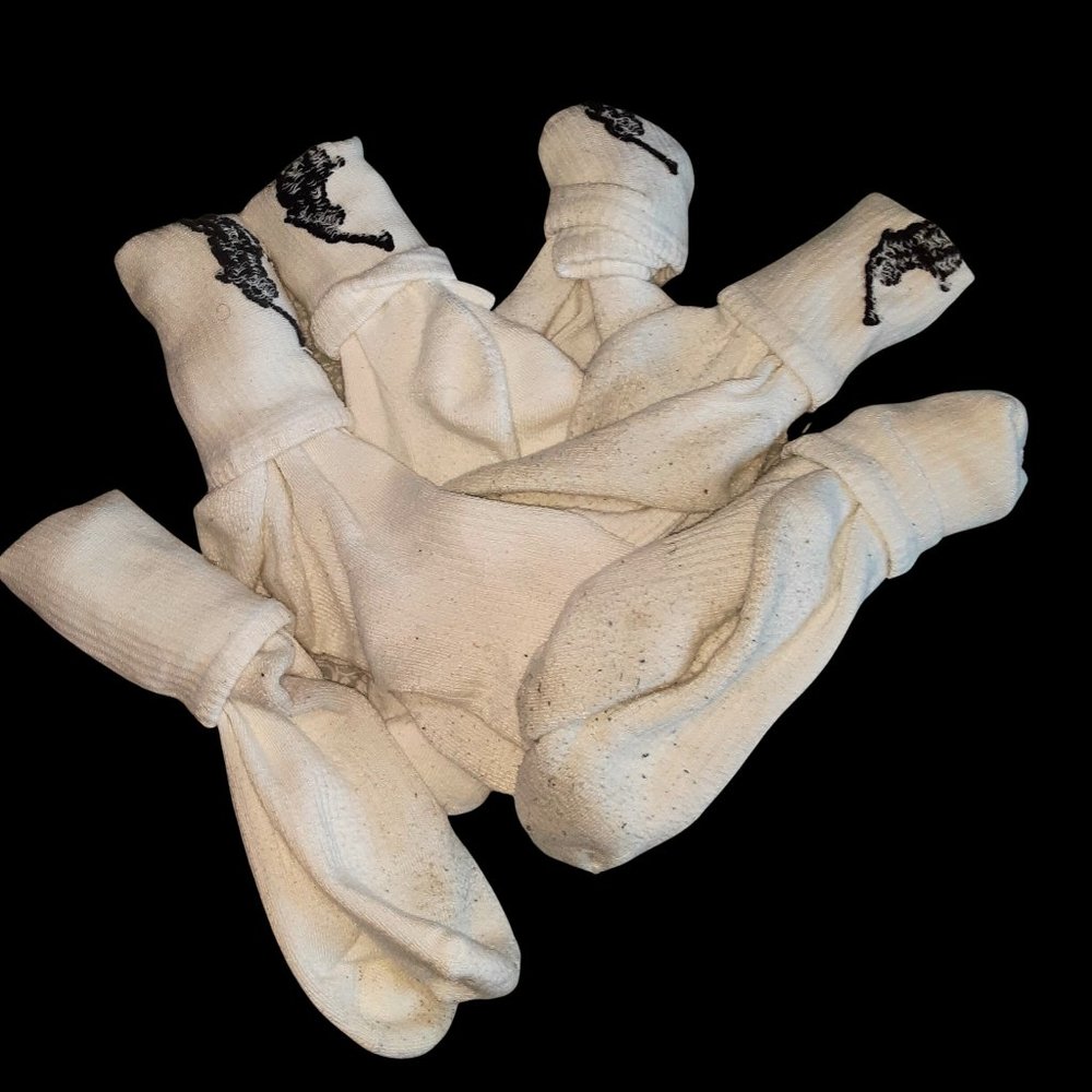 Mens Polo Ralph Lauren Socks